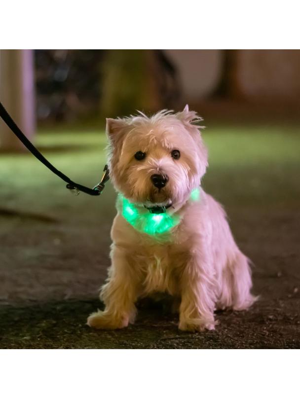 Silikonowa obroża dla zwierząt LED LLFG24034