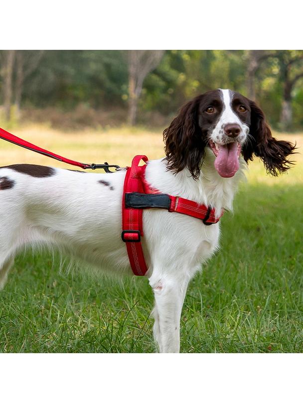 Szelki dla psa REFLECTIVE SILK rozmiar XS czerwone