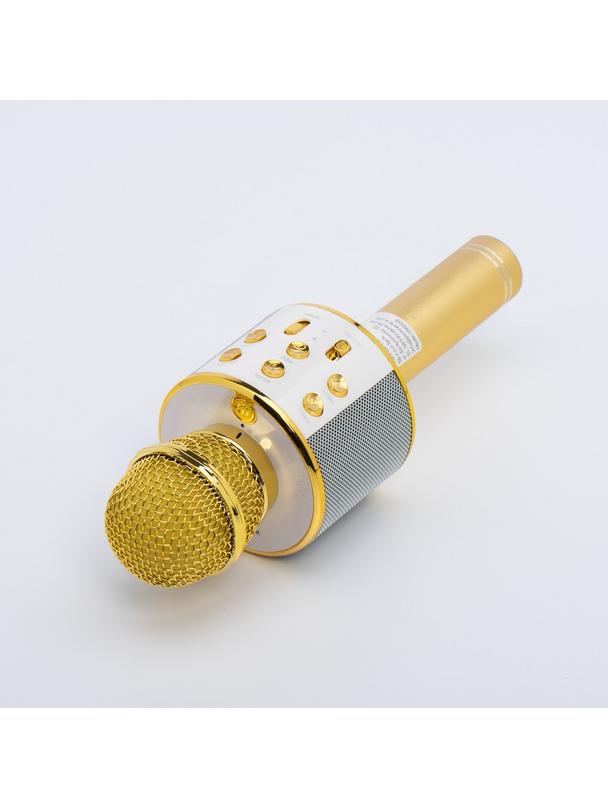 Mikrofon multimedialny karaoke CR58S HQ złoty