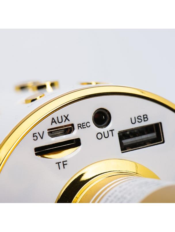 Mikrofon multimedialny karaoke CR58S HQ złoty